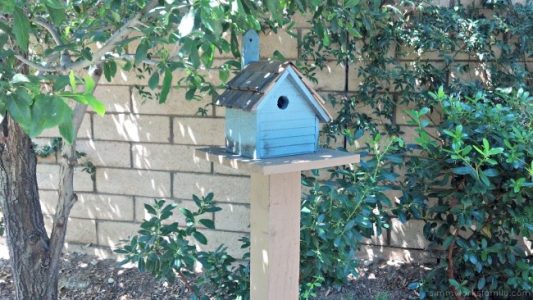 DIY Birdhouses